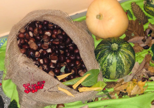 W worku ekologicznym znajdują się dary jesieni: żołędzie, kasztany i szyszki. Obok worka leżą kolorowe dynie.
