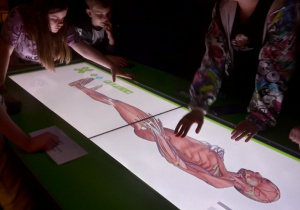 Dwie dziewczyny i chłopak pochylają się nad interaktywnym stołem oglądając budowę układu ruchu człowieka