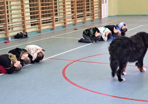 W sali gimnastycznej kilkoro dzieci siedzi w rzędzie na podłodze w pozycji skulonej i z rękoma na szyi - demonstruje pozycję ochronną przed atakiem psa . Przed nimi spaceruje duży pies.