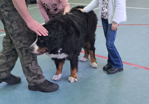 Mężczyzna oraz dwie dziewczynki stoją wokół dużego czarnego psa i go głaszczą.