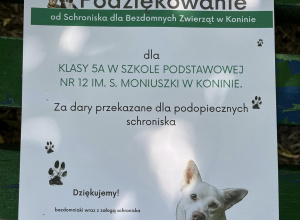 Schronisko dla Bezdomnych Zwierząt w Koninie