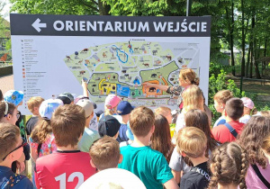 Duża grupa uczniów stoi tyłem . Patrzą na plan Orientarium w Łodzi. W tle widać drzewa.