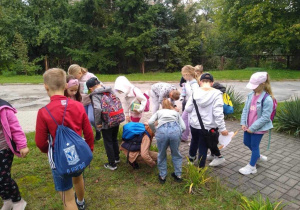 Klasa 2 c szuka ślimaków na zewnątrz. Dzieci w kolorowych kurtkach biegają po trawie. W tle widać zielone drzewa.