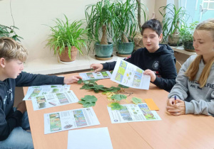 Uczniowie siedzą przy stoliku, na którym leża fotografie różnych drzew i ich liści.