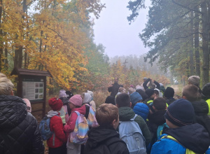 Wycieczka po lesie.