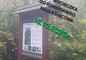Tablica informacyjna o Nadleśnictwie Konin
