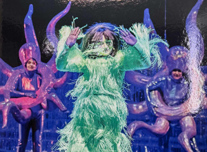 Przedstawienie teatralne Dzikie Łabędzie