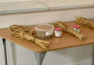 Ekspozycja roślin zbożowych