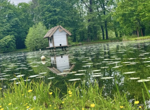 Wycieczka do Spreewaldu