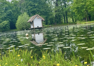 Wycieczka do Spreewaldu