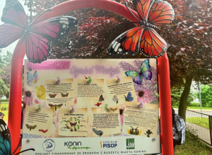 Sensoryczny Ogród dla Motyli - baner informacyjny