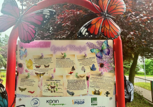 Tablica informacyjna o Sensorycznym Ogrodzie dla Motyli
